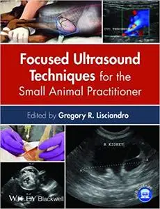 Focused Ultrasound Techniques for the Small Animal Practitioner