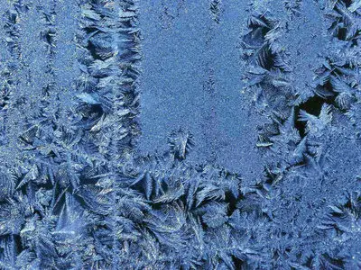 Frost