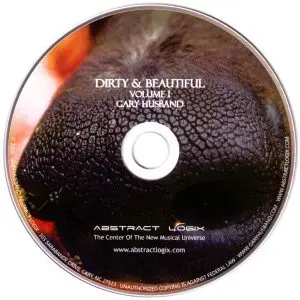 Gary Husband - Dirty & Beautiful Vol.1 (2010) {Abstract Logix}