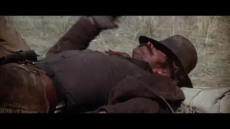 The Duchess and the Dirtwater Fox (1976)