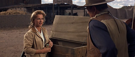 The Sons of Katie Elder (1965) [Repost]