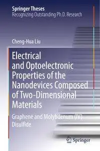 Electrical and Optoelectronic Properties of the Nanodevices Composed of Two-Dimensional Materials (Repost)
