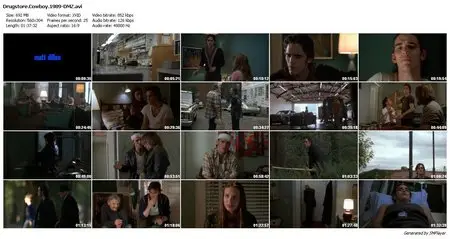 Drugstore Cowboy (1989)