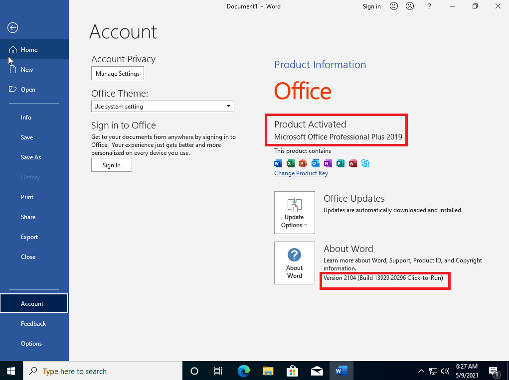 preactivated office 2019 professional plus