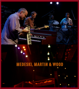 Medeski, Martin & Wood - Jazz a la Villette (2015) [HDTV 1080p]