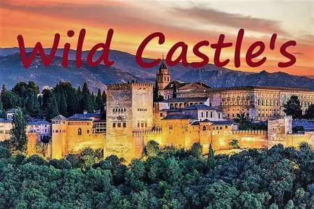 Smithsonian Earth - Wild Castles: Series 1 (2017)