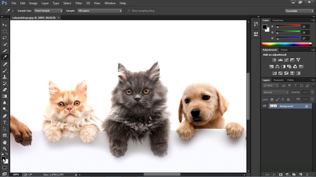 PSD To HTML With Photoshop And Dreamweaver [repost]