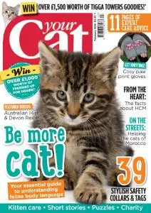 Your Cat - February 2016
