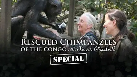 Curiosity Stream - Rescued Chimpanzees of the Congo Special (2021)
