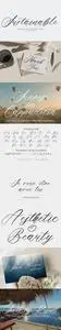 Sustainable - Calligraphy Font