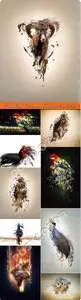 Animals and birds creative illustration Stock Photo