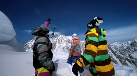 The Art of Flight (2011)