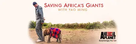 Saving Africas Giants with Yao Ming (2014)