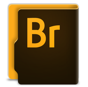 Adobe Bridge 2020 v10.1.0.163 (x64) Multilingual