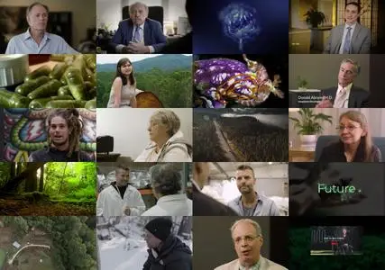 The Magic Plant (2020)