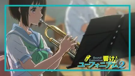 Hibike! Euphonium 2 - 09 10bit BD1080p x265