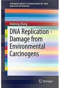 DNA Replication - Damage from Environmental Carcinogens [Repost]