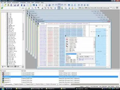 Hexprobe Hex Editor 3.7