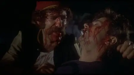 Busting (1974)