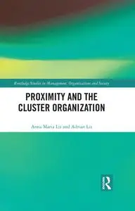 Proximity and the Cluster Organization