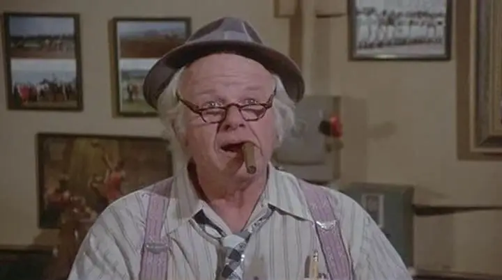 The North Avenue Irregulars (1979)