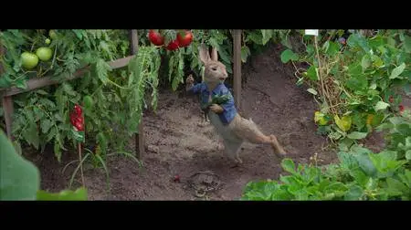 Peter Rabbit (2018)