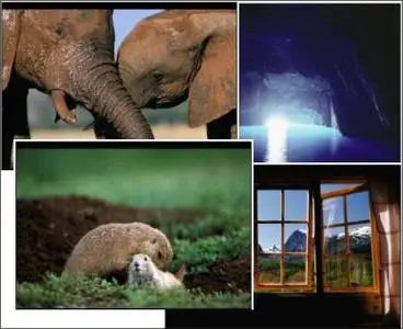 NG Wallpaper Nature Series#3