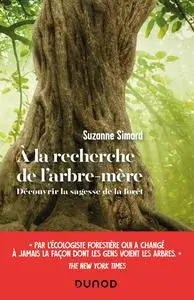 A la recherche de l'arbre-mère : Découvrir la sagesse de la forêt - Suzanne Simard