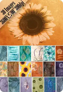 Herbarium II