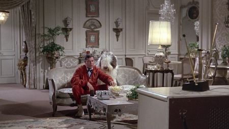 Who's Minding the Store (1963)