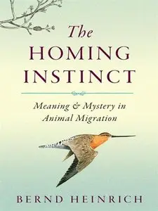 The Homing Instinct: Meaning and Mystery in Animal Migration (repost)