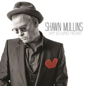 Shawn Mullins - My Stupid Heart (2015)