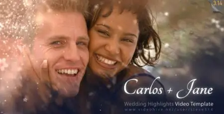 Wedding Highlights - Video Template - After Effects Project (Videohive)