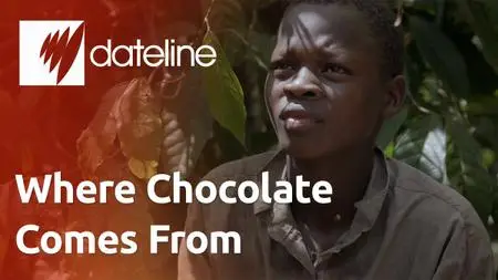 SBS - Dateline: Where Chocolate Comes From (2020)