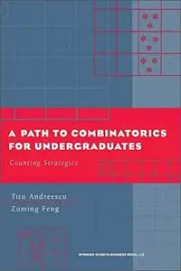 A Path to Combinatorics for Undergraduates: Counting Strategies