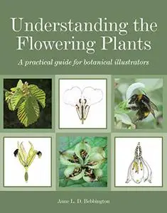 Understanding the Flowering Plants: A Practical Guide for Botanical Illustrators (Repost)