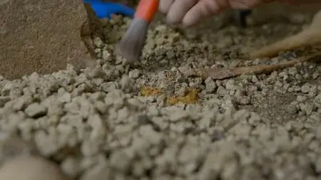 BBC - Pompeii: The New Dig (2024)