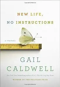 New Life, No Instructions: A Memoir