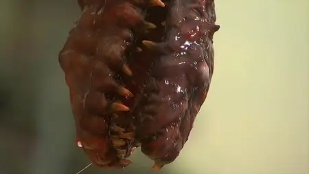 Tokyo Gore Police (2008)
