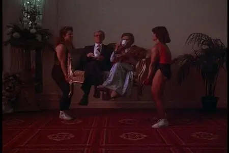 Девочки хотят повеселиться / Girls Just Want to Have Fun (1985, DVD5 + DVDRip)