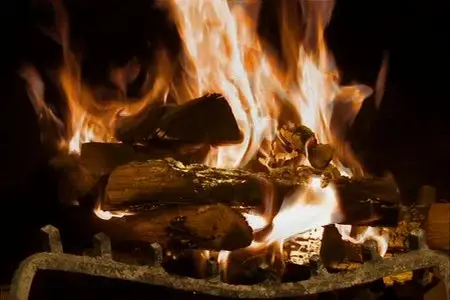 Fireplace: Visions of Tranquility (2007)