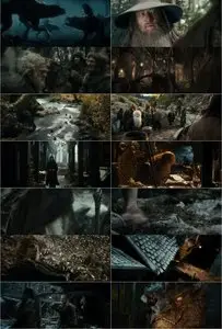 The Hobbit: The Desolation of Smaug (2013) [Extended Cut]
