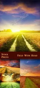 Stock Photo - Field With Road