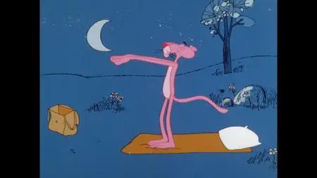 The Pink Panther Cartoon Collection: Volume 5 (1976-1978)