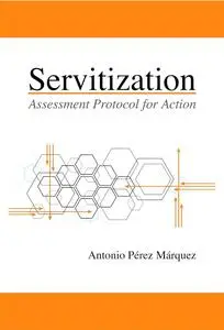 Servitization: Assessment Protocol for Action