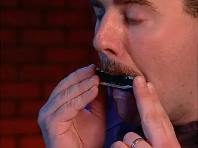 Building Harmonica Technique Volume 1 & 2 & 3 & 4 - by David Barrett [Repost]