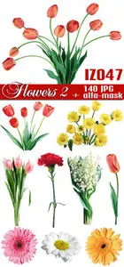 IZ047 Flowers 2