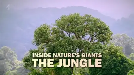CH4 Inside Nature's Giants - The Jungle (2012)