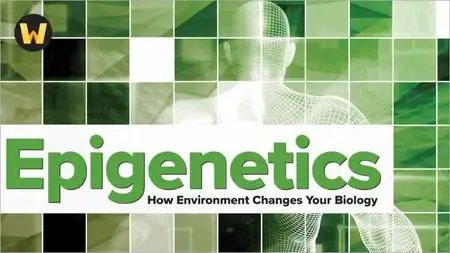 TTC Video - Epigenetics: How Environment Changes Your Biology