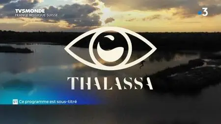 TV5Monde Thalassa - Camargue, Venise: les peuples des lagunes (2019)